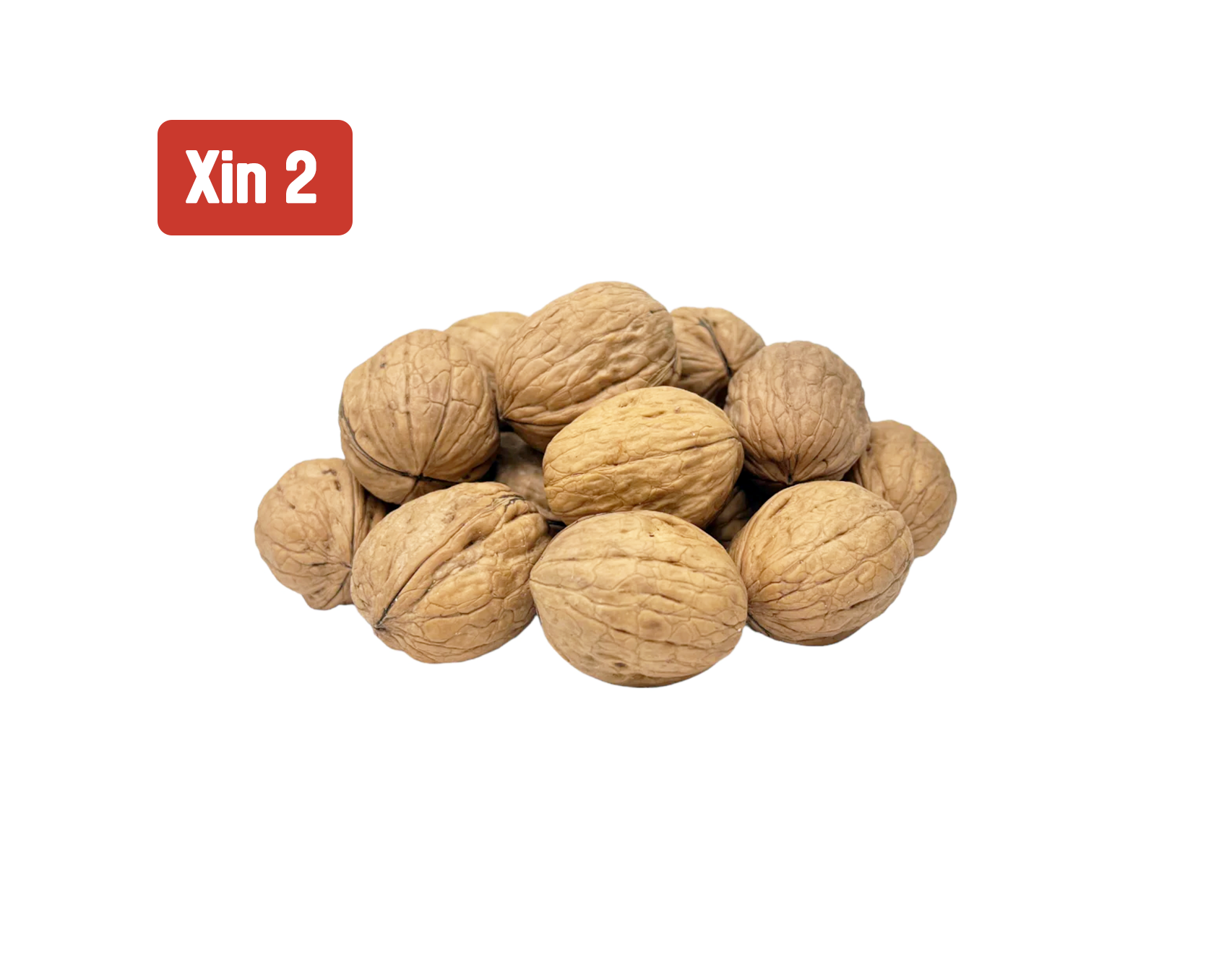 Walnut in Shell - Type XIN2 -  High-quality, in-shell walnuts of type XIN2, from Qingdao,to Jebel Ali, UAE, suitable for wholesale