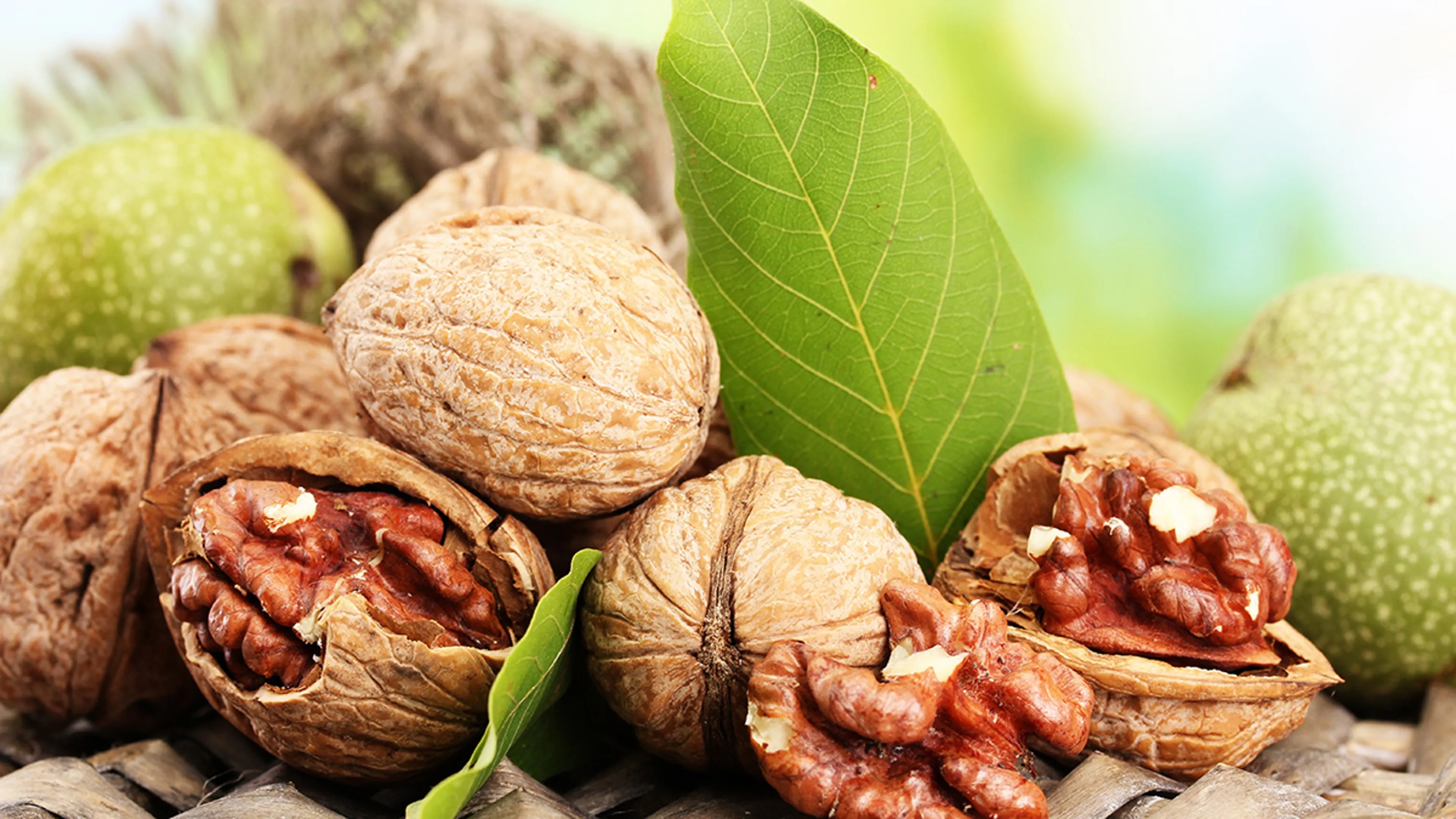 Tariffs and Tight Walnut Stocks, India Eyes Duty Cuts: Will Canada, Mexico, and China Challenge American Walnuts? - Explore the global walnut market in 2025, from Chile’s new season and shrinking exports to U.S. tariff battles and India’s potential duty cuts. Learn about production trends, major importers, price updates, and future signals shaping the walnut indus