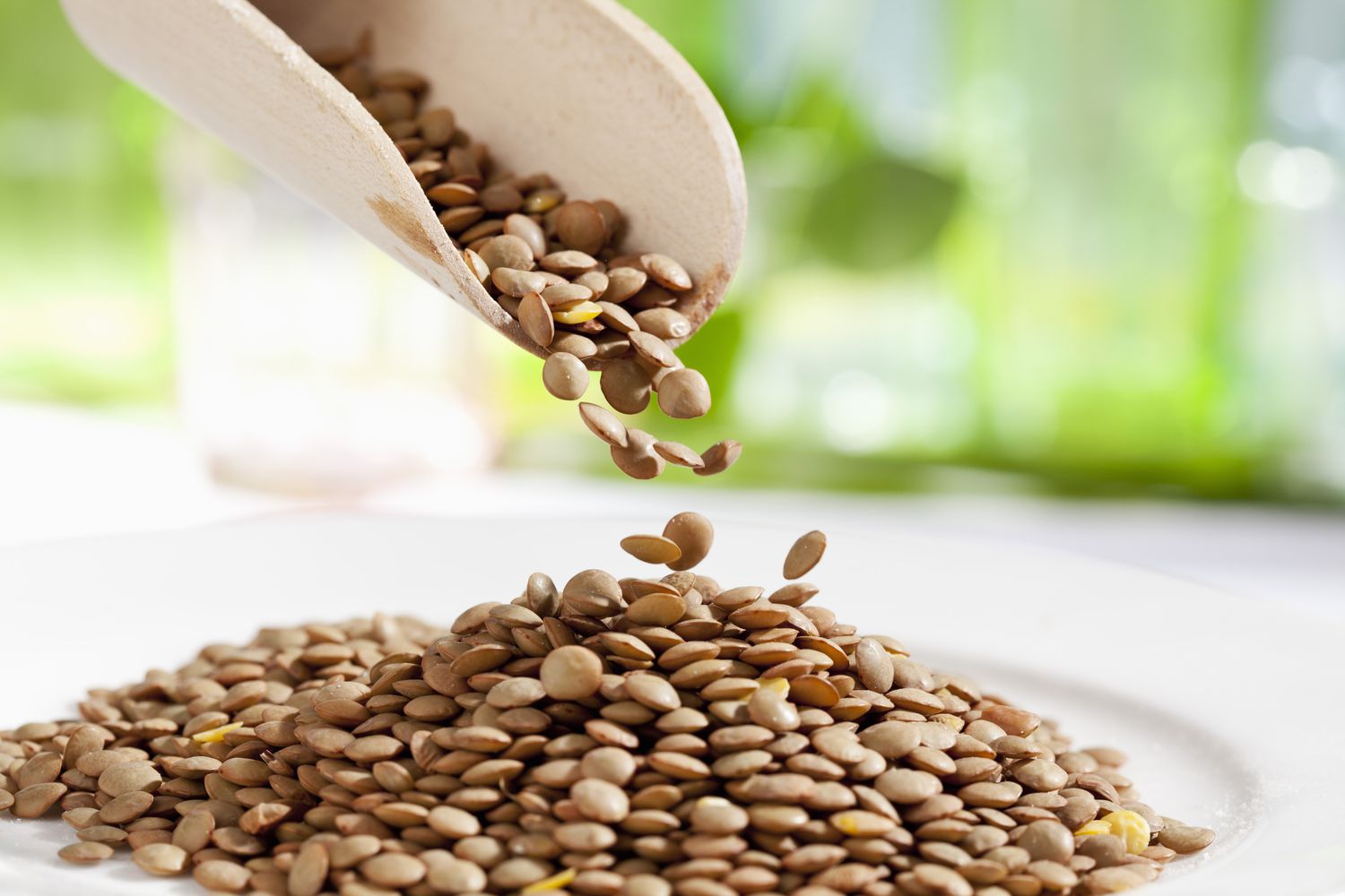 Russia’s 5% Export Duty on Lentils, Price Rises in India: How Canada and Australia Are Gaining Ground! - A detailed 2025 lentil market analysis focusing on Russia’s new 5% export duty, rising lentil prices in India, global production updates, and future price forecasts. Includes key insights on India’s import surge, Canada and Australia’s export potenti